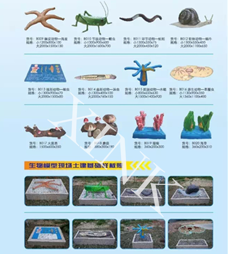 生物模型图