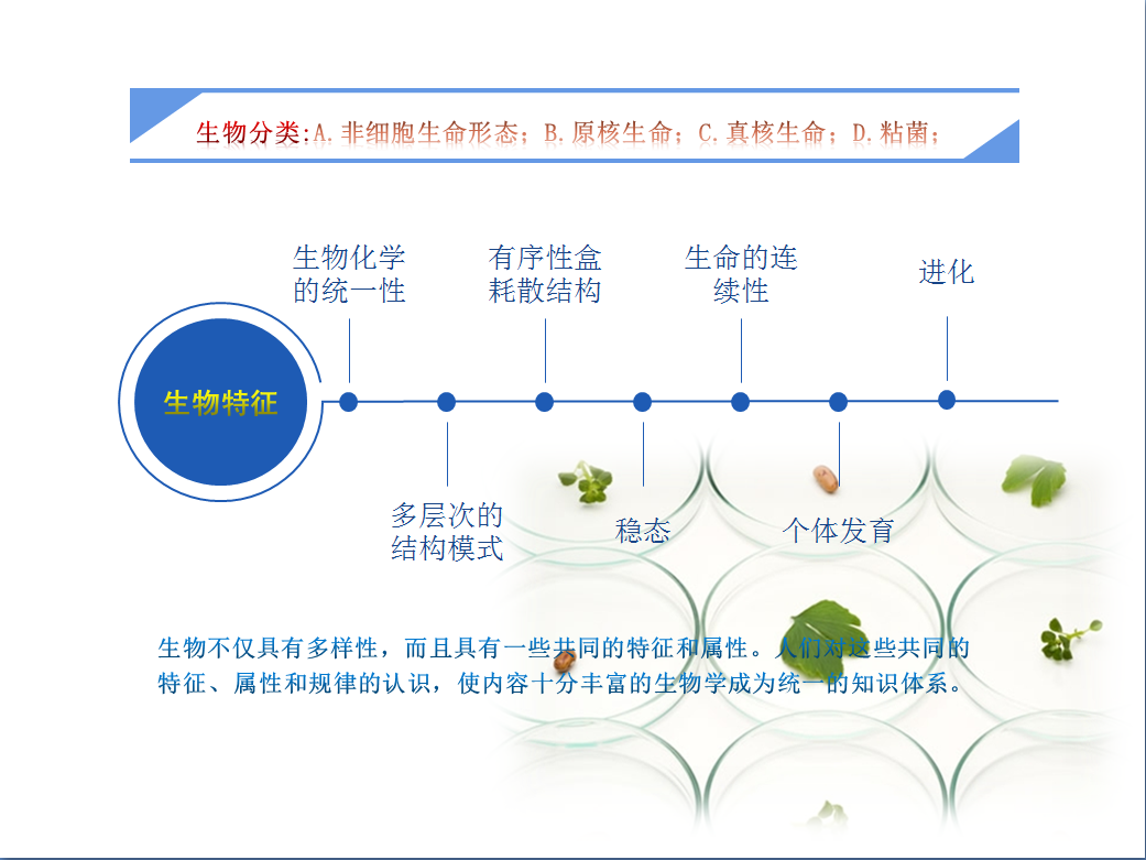 生物实验室（钢木）